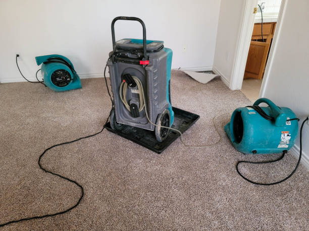 Best Water damage restoration insurance claims  in Mount Rainier, MD