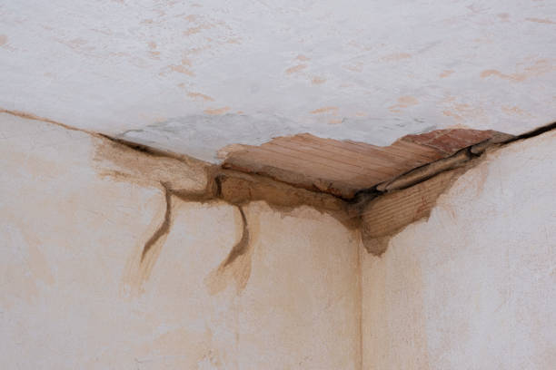 Best Flood restoration services  in Mount Rainier, MD