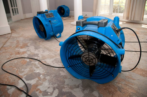Best Flood damage cleanup  in Mount Rainier, MD
