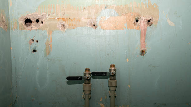 Best Carpet water damage restoration  in Mount Rainier, MD