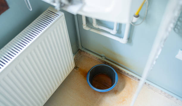 Best Basement water damage restoration  in Mount Rainier, MD