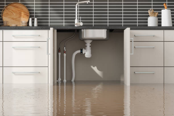Best Water damage contractors near me  in Mount Rainier, MD