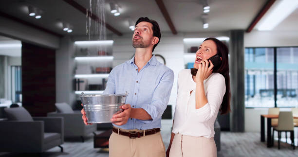 Best 24/7 water damage repair  in Mount Rainier, MD