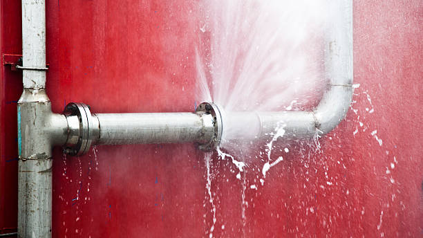 Best Sewage cleanup and water damage restoration  in Mount Rainier, MD