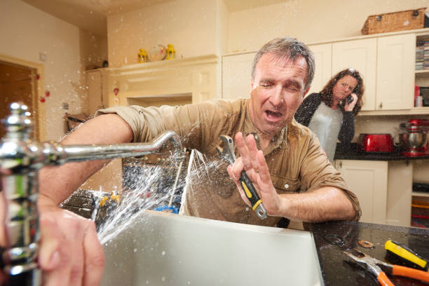 Best 24-hour water damage restoration  in Mount Rainier, MD